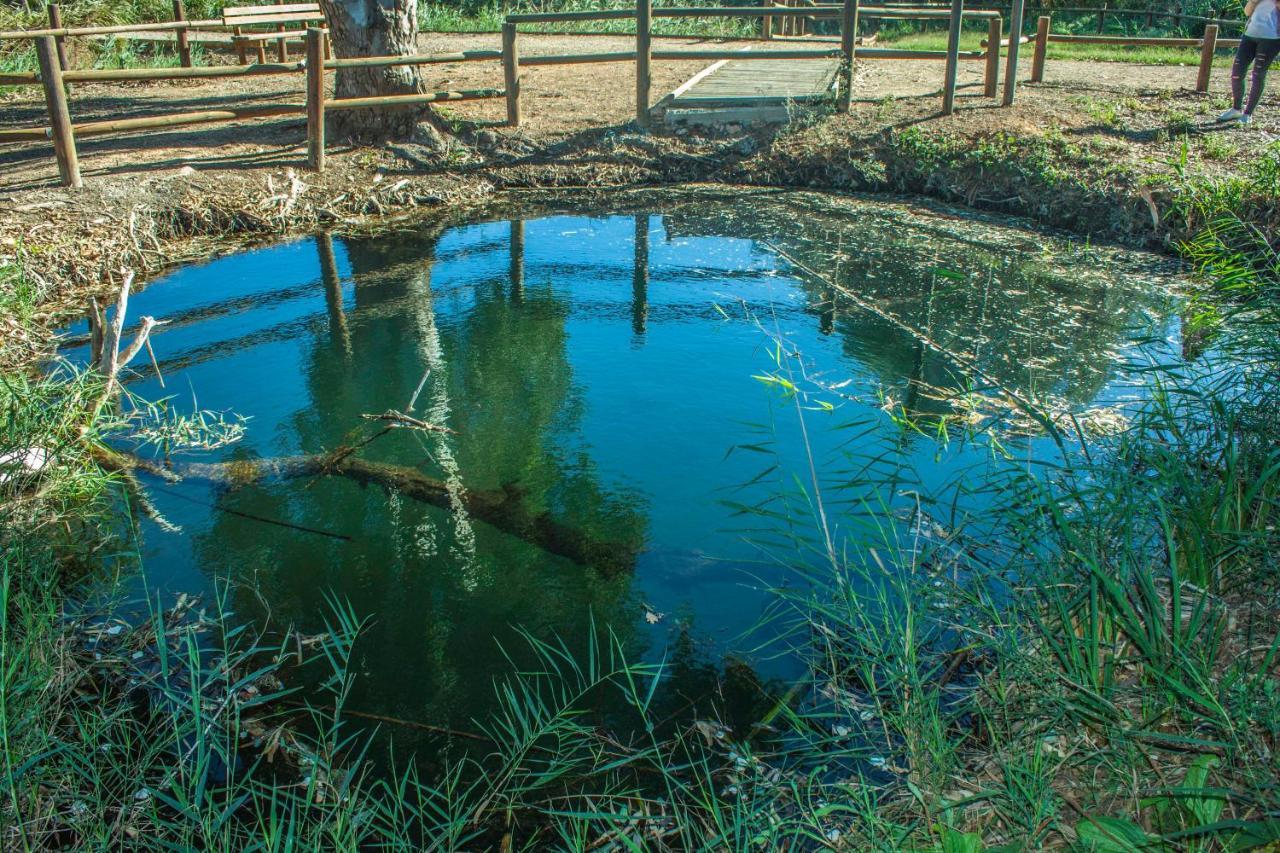 Paradise Ebro 2 Deltebre Εξωτερικό φωτογραφία